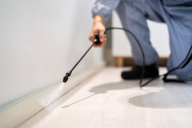 Licensed Pest Control service in Eagle Point, AL - Show Me Pest Control