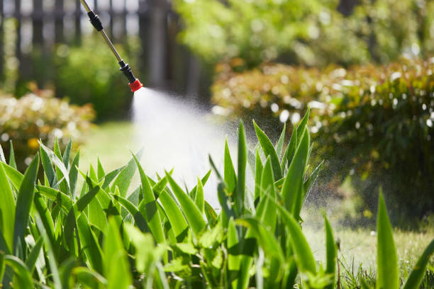 24/7 Emergency Wasp Removal experts in Eagle Point, AL