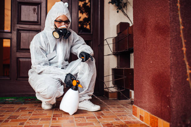 Reliable Wasp Removal contractor in Eagle Point, AL by Show Me Pest Control